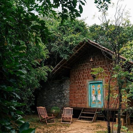 Vihanga Village - Jungle Retreat In Dambulla Exteriér fotografie